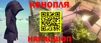 гидропоника Моздок