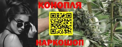 СК Можга