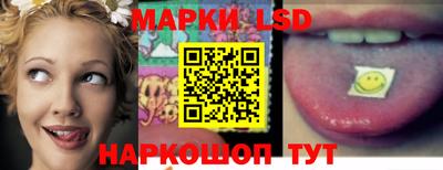 СК Можга