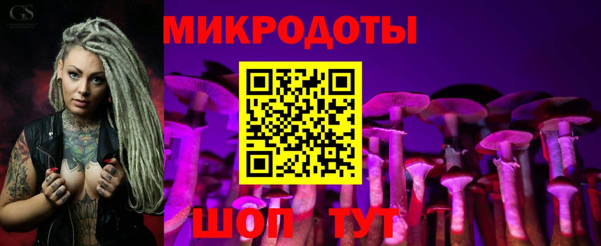 Псилоцибиновые грибы мицелий Щёлково